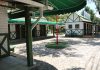 COVID: Vereadores aprovam projetos que isentam as concessões da Aldeia Vila Verde e prorrogam os contratos temporários com o município