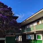 escola 1