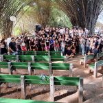 capa site 1