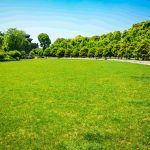 parque-verde-da-cidade